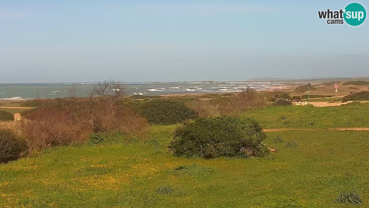 Mari Ermi Strand | Is Arutas – Oristano