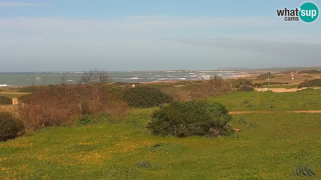 Mari Ermi beach | Is Arutas – Oristano