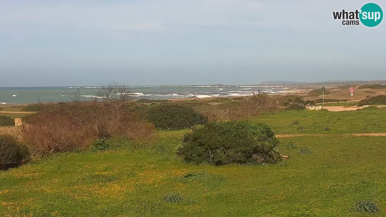 Mari Ermi beach | Is Arutas – Oristano