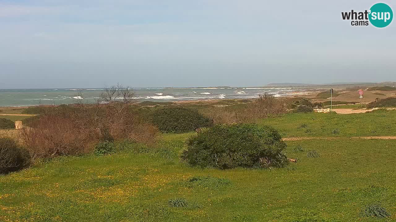 Mari Ermi beach | Is Arutas – Oristano