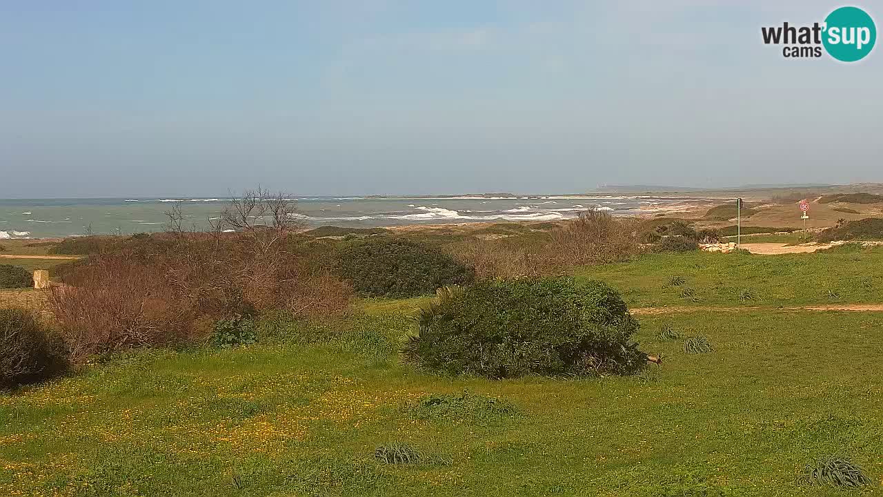 Mari Ermi Strand | Is Arutas – Oristano