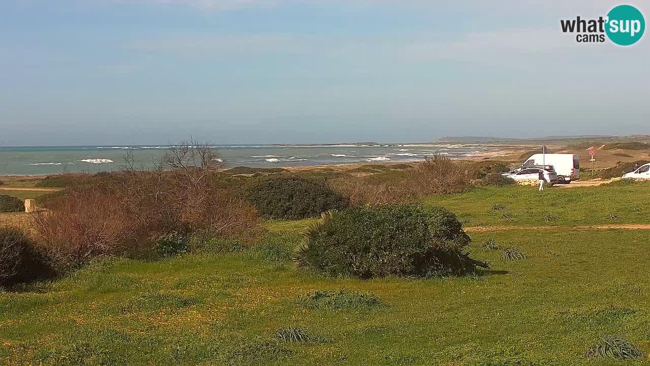 Mari Ermi Strand | Is Arutas – Oristano