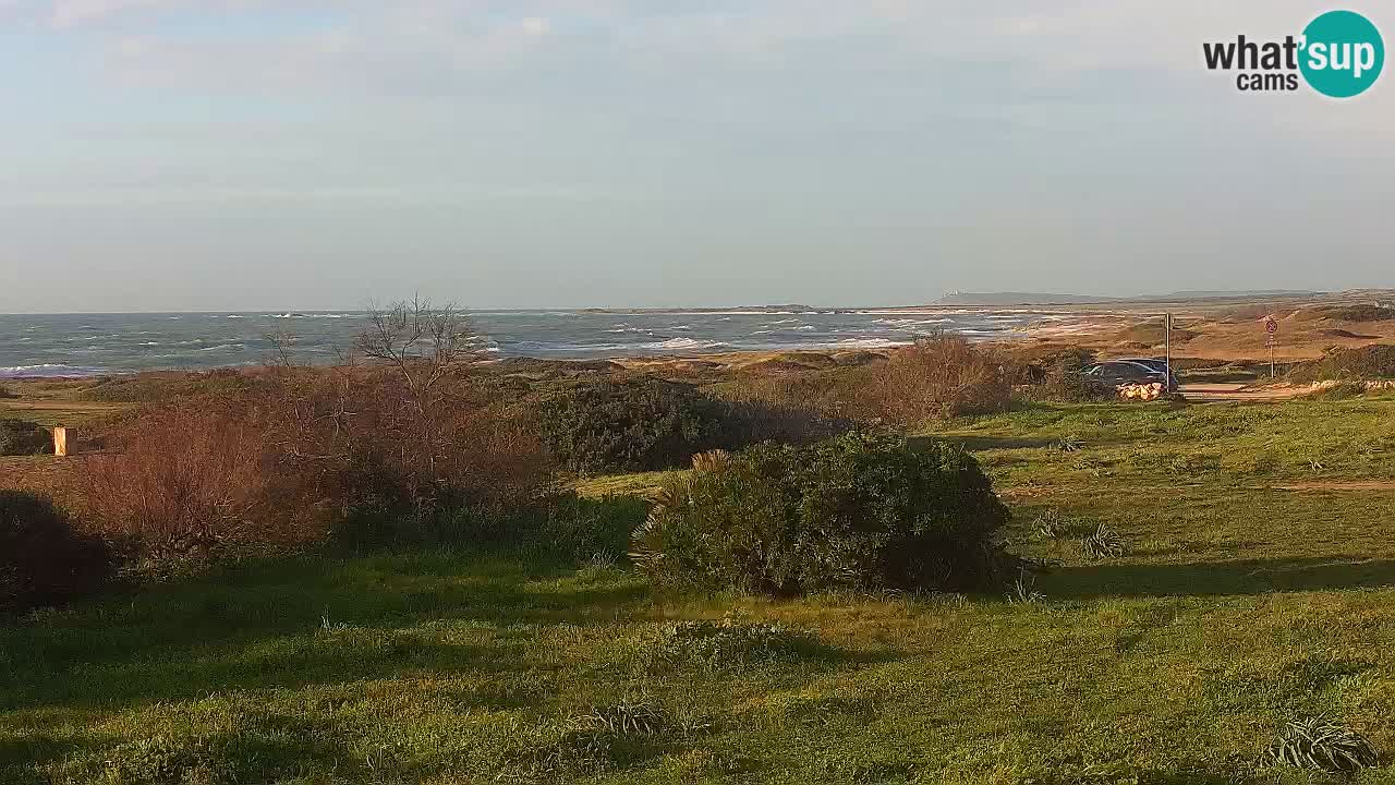 Mari Ermi beach | Is Arutas – Oristano