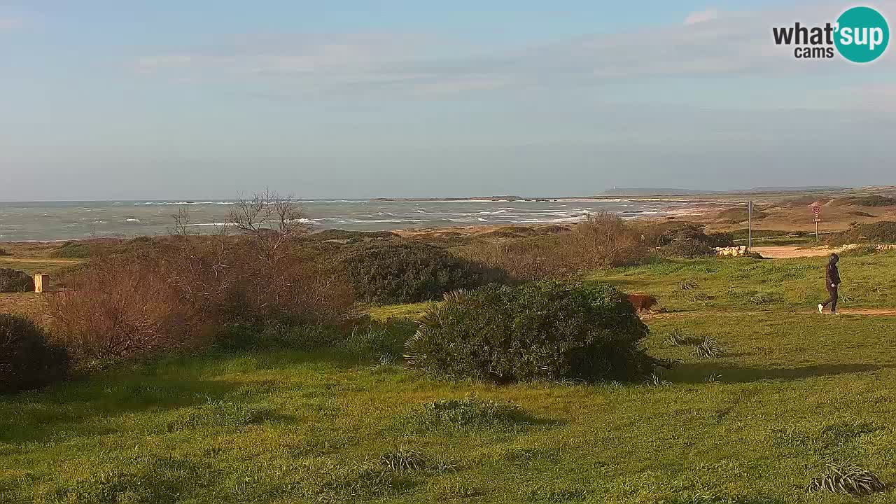 Plaža Mari Ermi | Is Arutas – Oristano