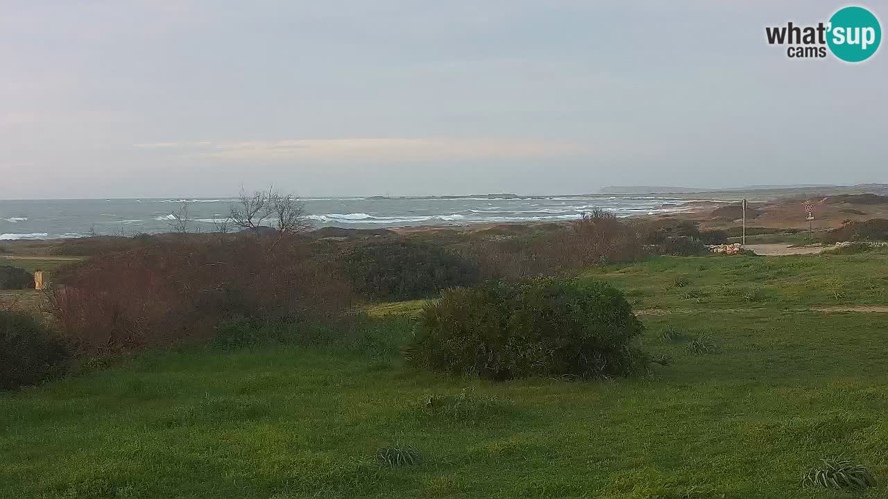 Playa Mari Ermi | Is Arutas – Oristano