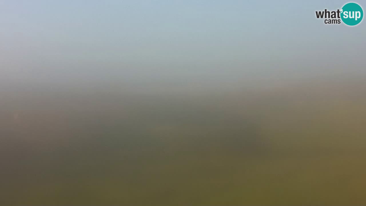 Plage Mari Ermi | Is Arutas – Oristano