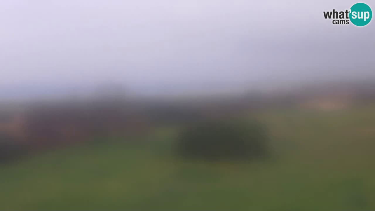 Playa Mari Ermi | Is Arutas – Oristano