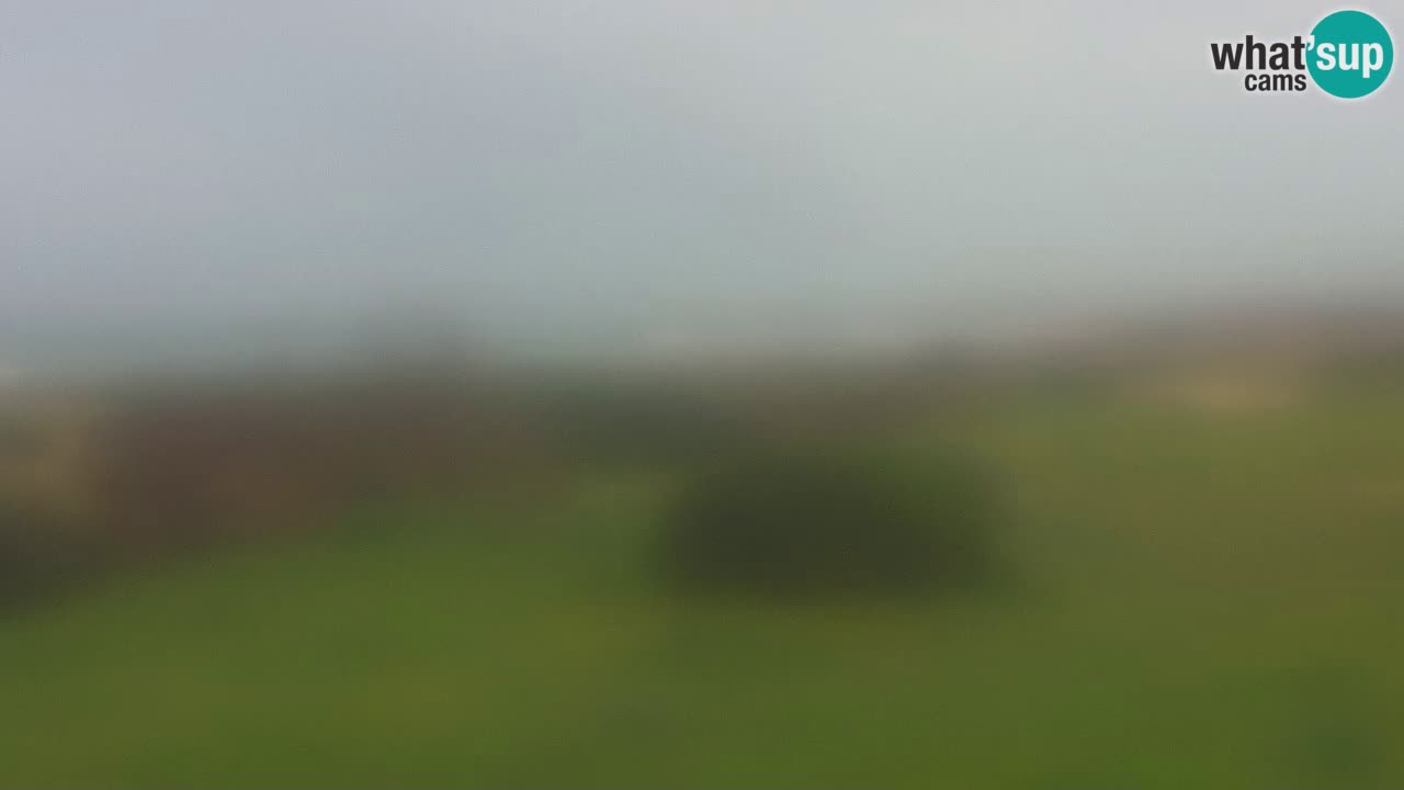 Playa Mari Ermi | Is Arutas – Oristano