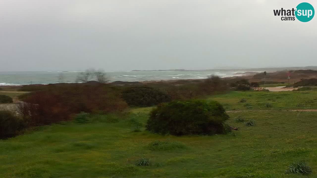 Playa Mari Ermi | Is Arutas – Oristano