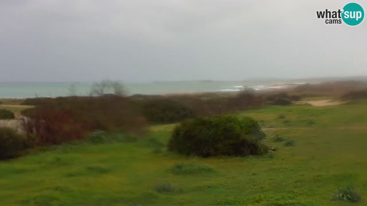 Mari Ermi Strand | Is Arutas – Oristano