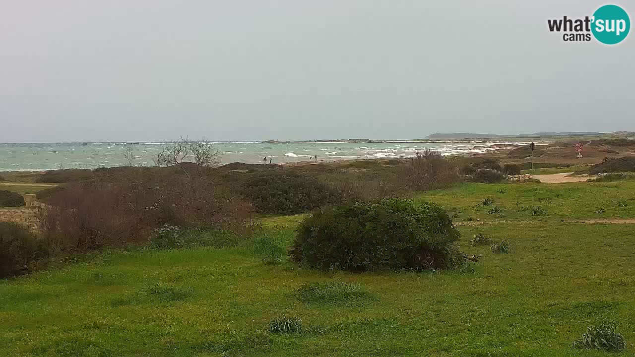 Mari Ermi beach | Is Arutas – Oristano