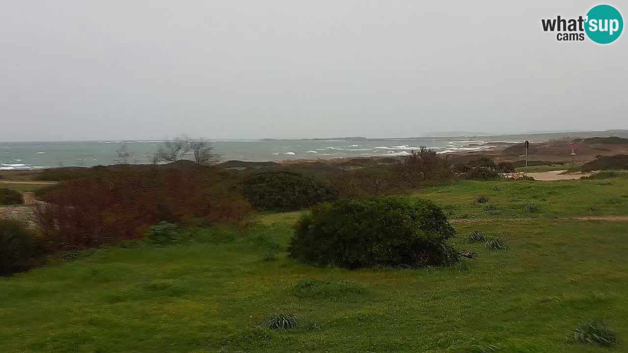 Plaža Mari Ermi | Is Arutas – Oristano