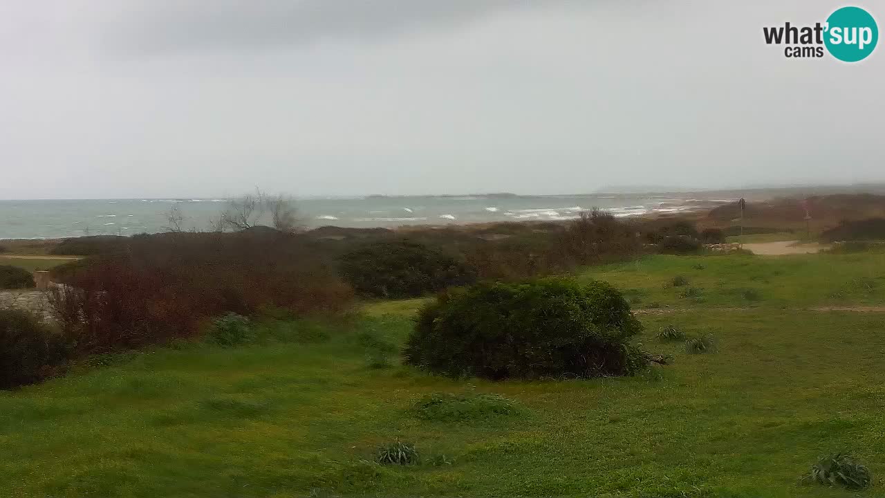 Mari Ermi beach | Is Arutas – Oristano