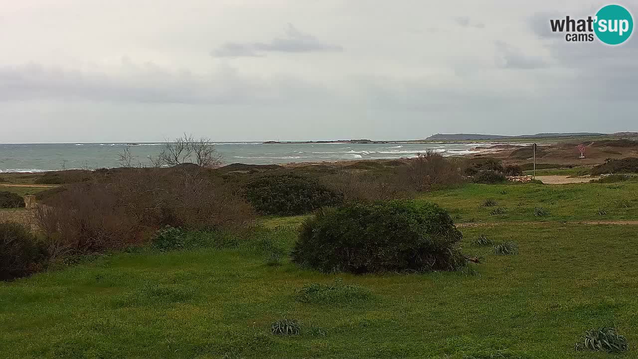 Plaža Mari Ermi | Is Arutas – Oristano