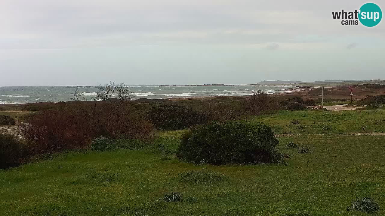 Spiaggia Mari Ermi | Is Arutas – Oristano