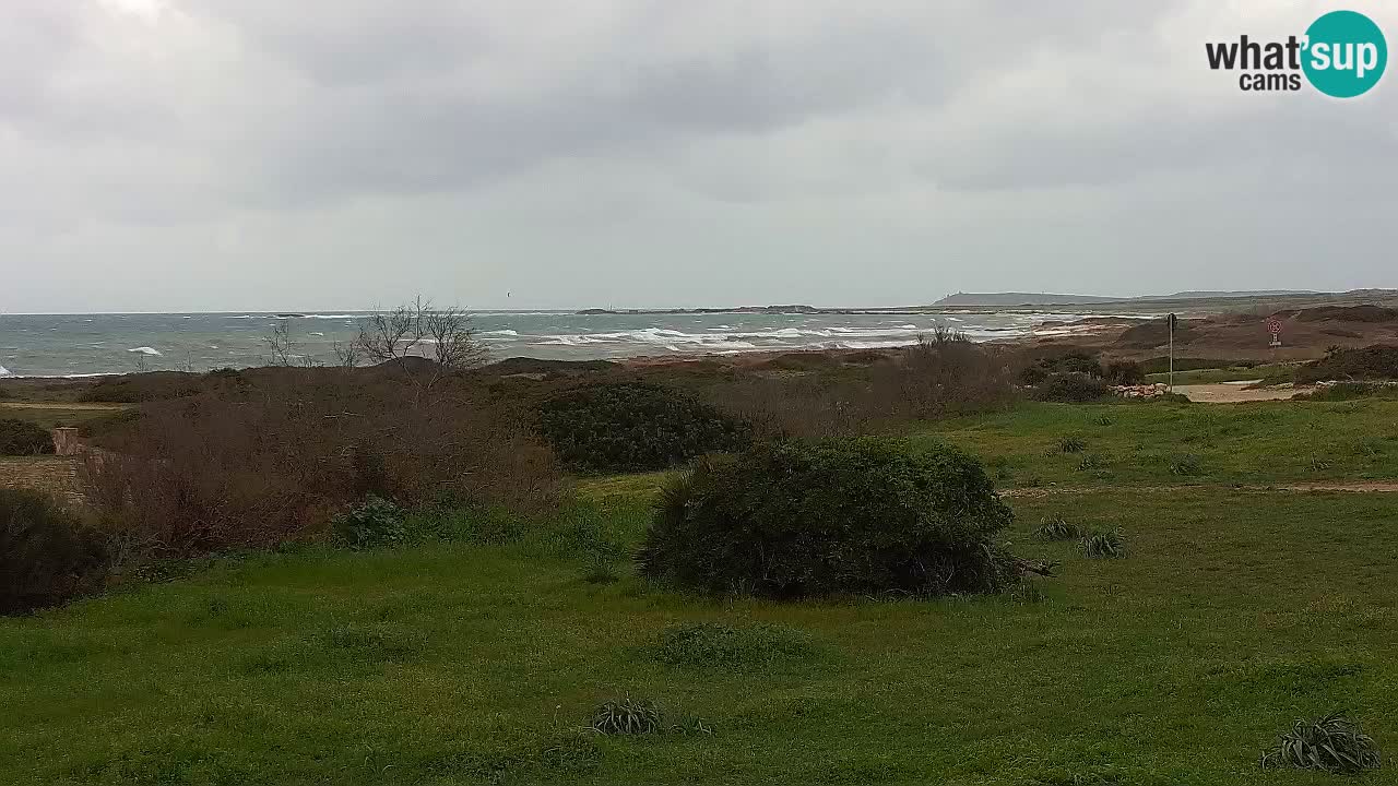 Plage Mari Ermi | Is Arutas – Oristano