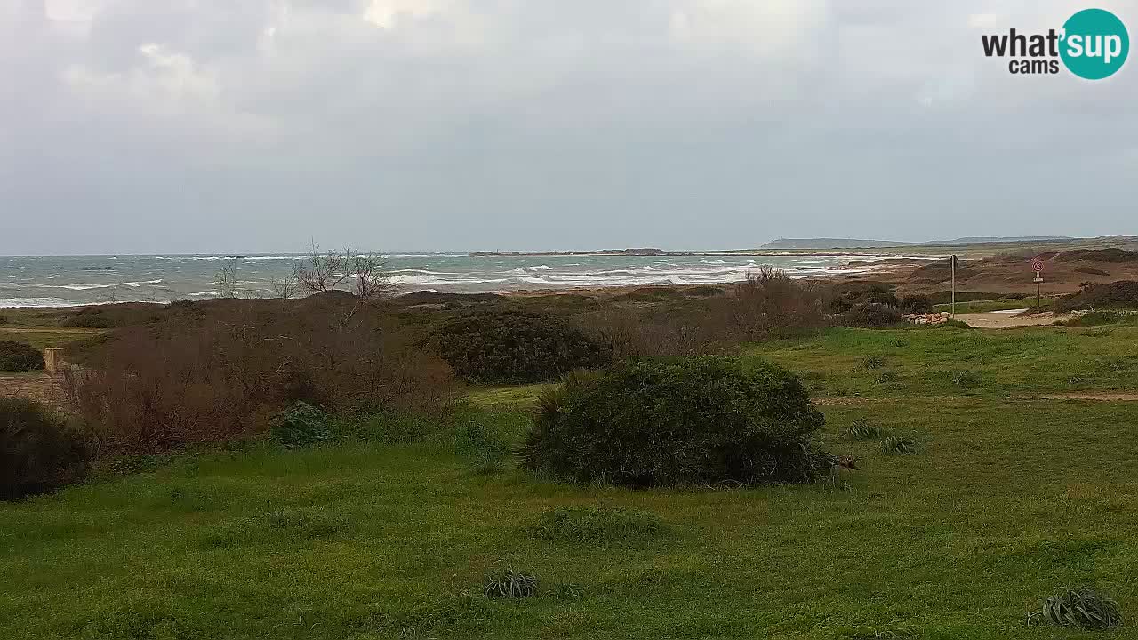 Mari Ermi Strand | Is Arutas – Oristano