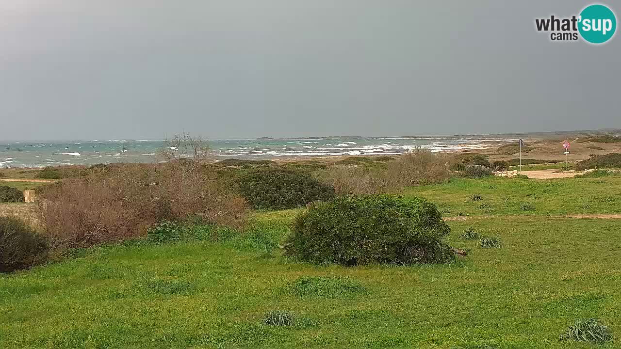 Plage Mari Ermi | Is Arutas – Oristano