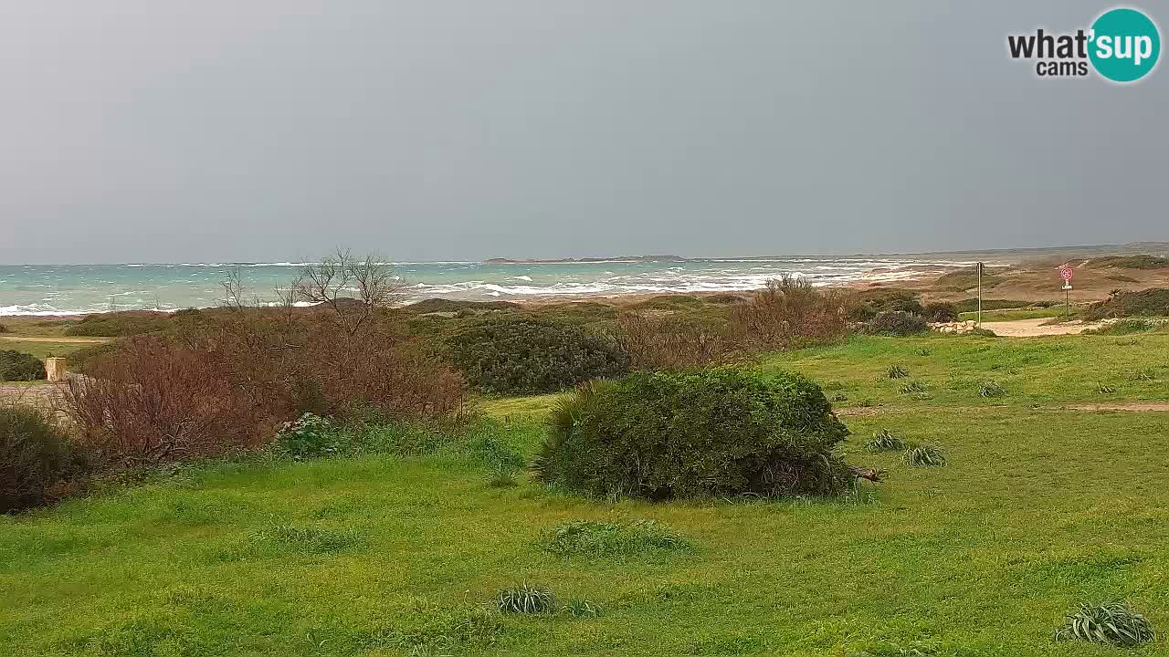 Mari Ermi Strand | Is Arutas – Oristano