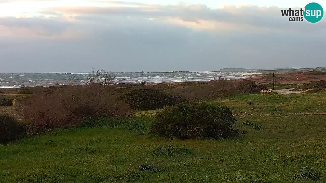 Mari Ermi beach | Is Arutas – Oristano