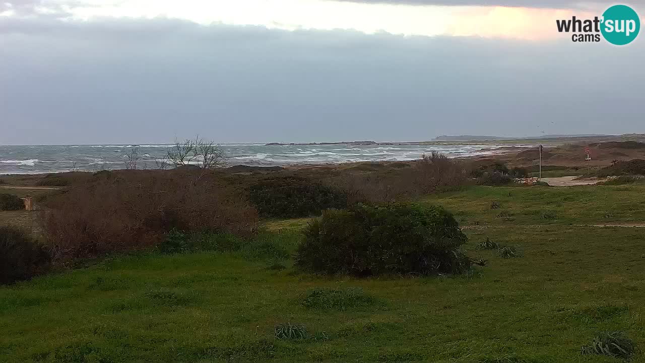 Plaža Mari Ermi | Is Arutas – Oristano