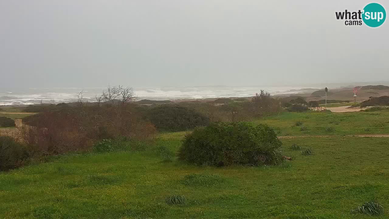 Plage Mari Ermi | Is Arutas – Oristano