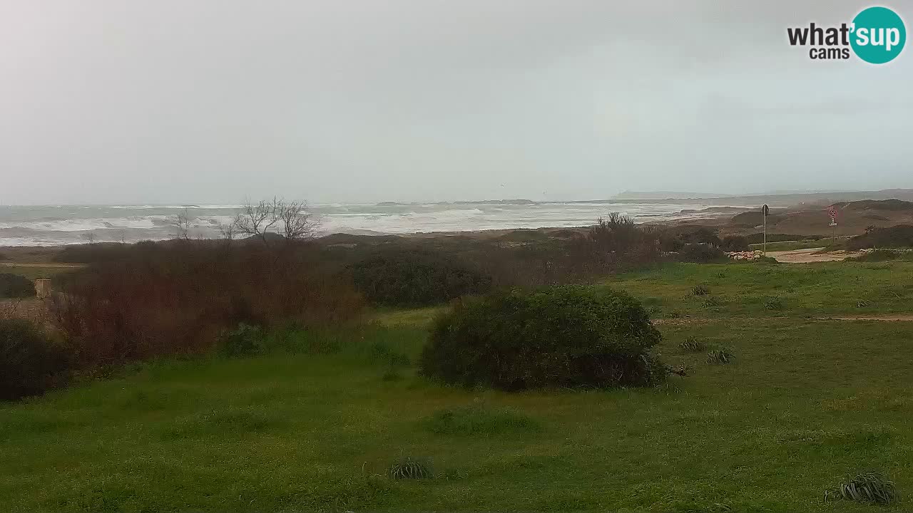 Plage Mari Ermi | Is Arutas – Oristano