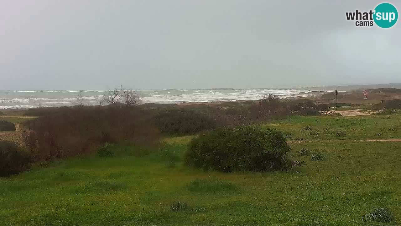 Plaža Mari Ermi | Is Arutas – Oristano