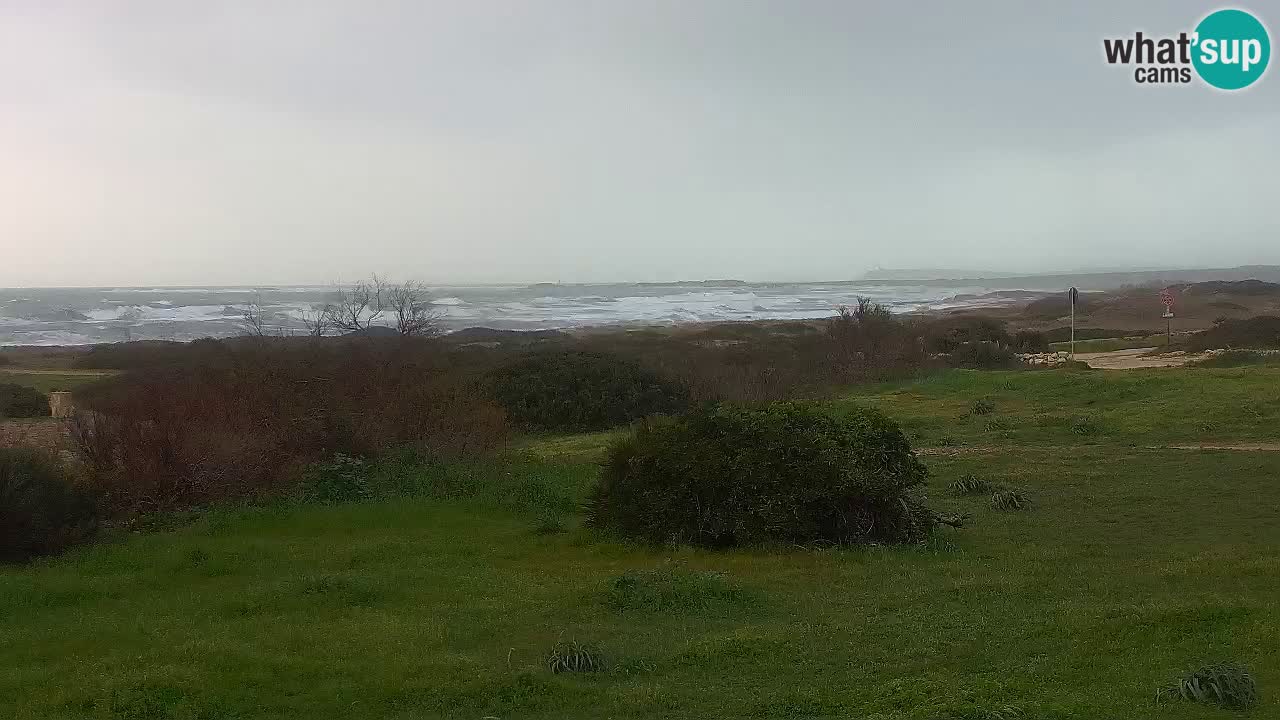 Plaža Mari Ermi | Is Arutas – Oristano