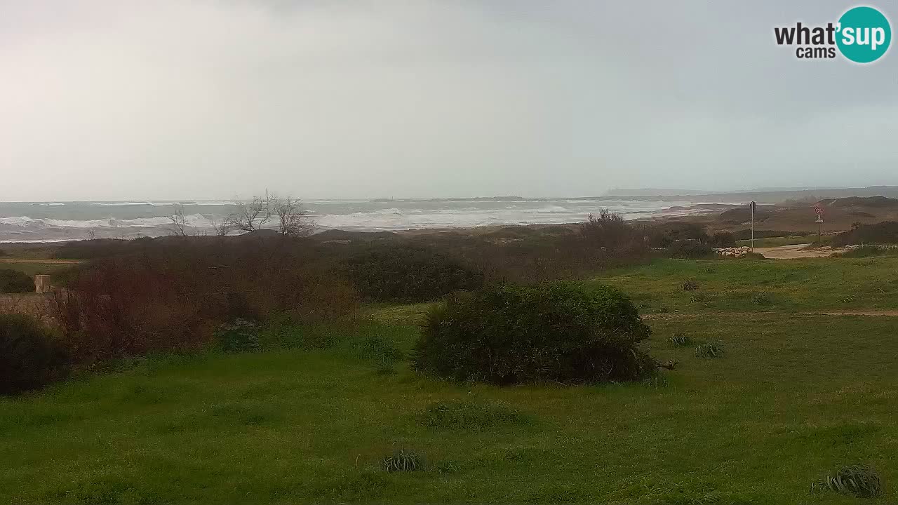 Plaža Mari Ermi | Is Arutas – Oristano