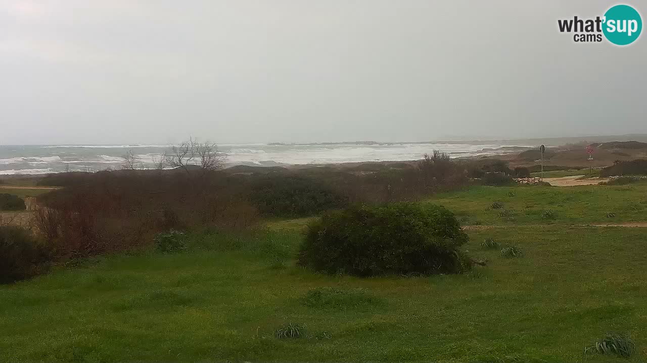 Plage Mari Ermi | Is Arutas – Oristano