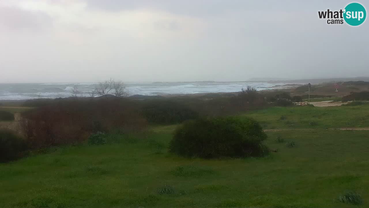 Plaža Mari Ermi | Is Arutas – Oristano