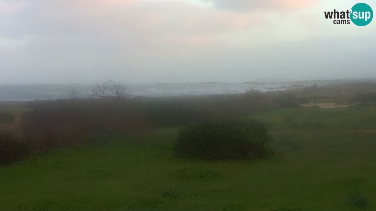 Spiaggia Mari Ermi | Is Arutas – Oristano