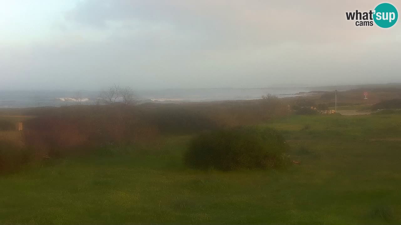 Mari Ermi Strand | Is Arutas – Oristano