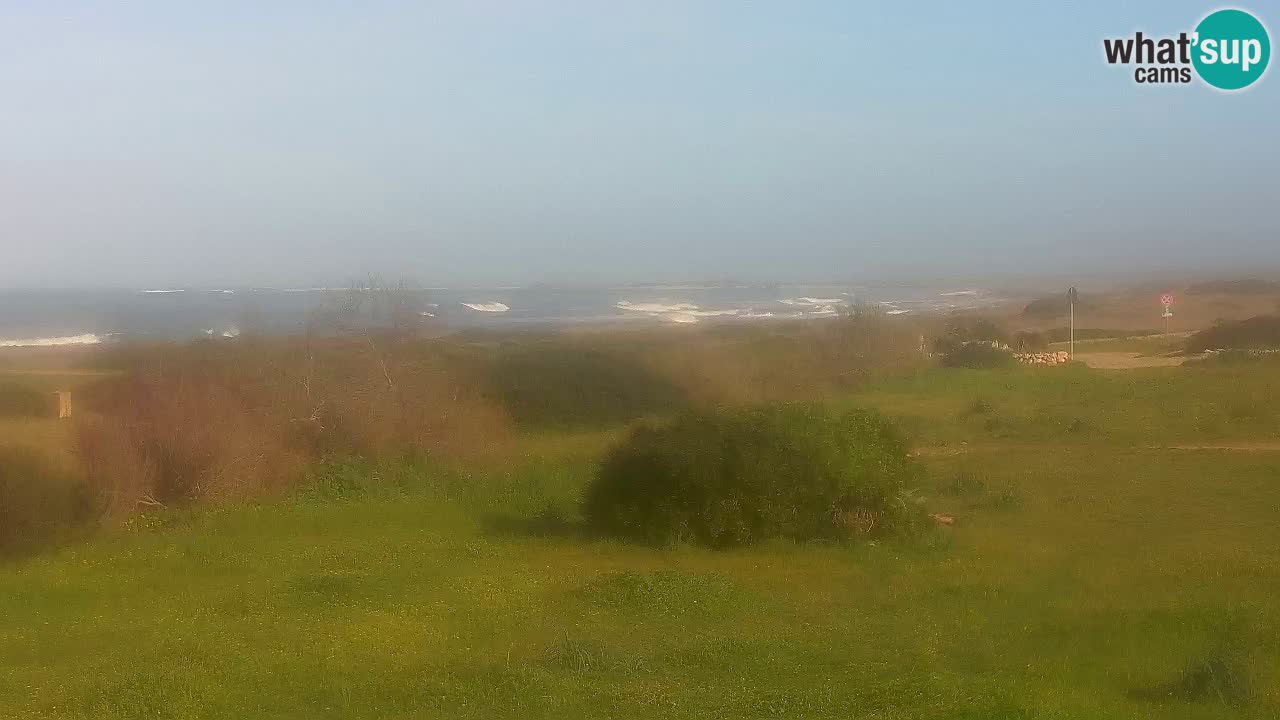 Playa Mari Ermi | Is Arutas – Oristano