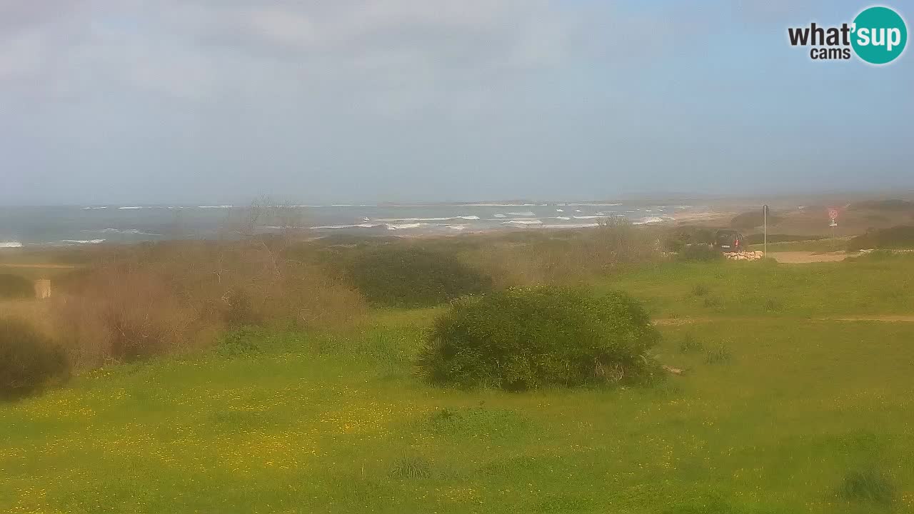 Plaža Mari Ermi | Is Arutas – Oristano