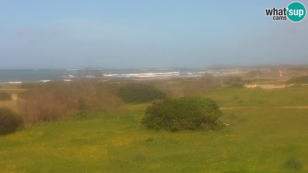 Playa Mari Ermi | Is Arutas – Oristano