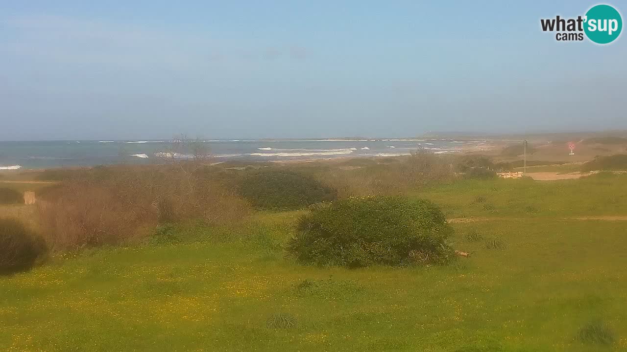 Plaža Mari Ermi | Is Arutas – Oristano