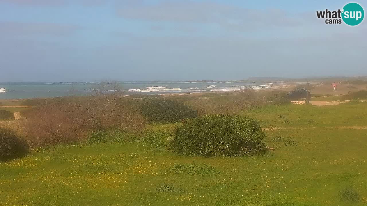 Plaža Mari Ermi | Is Arutas – Oristano