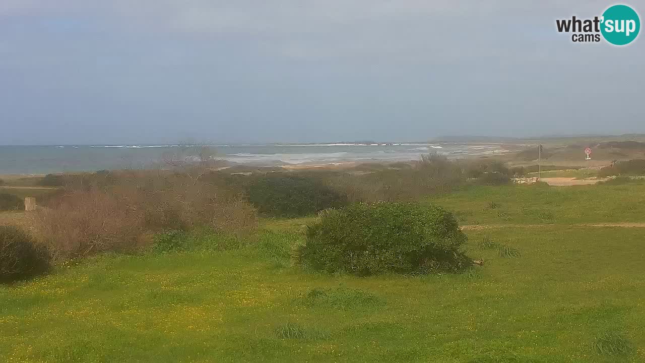 Plaža Mari Ermi | Is Arutas – Oristano