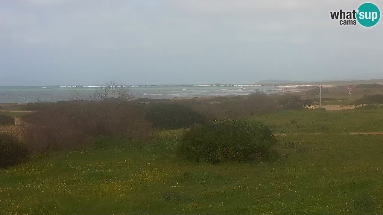 Plaža Mari Ermi | Is Arutas – Oristano