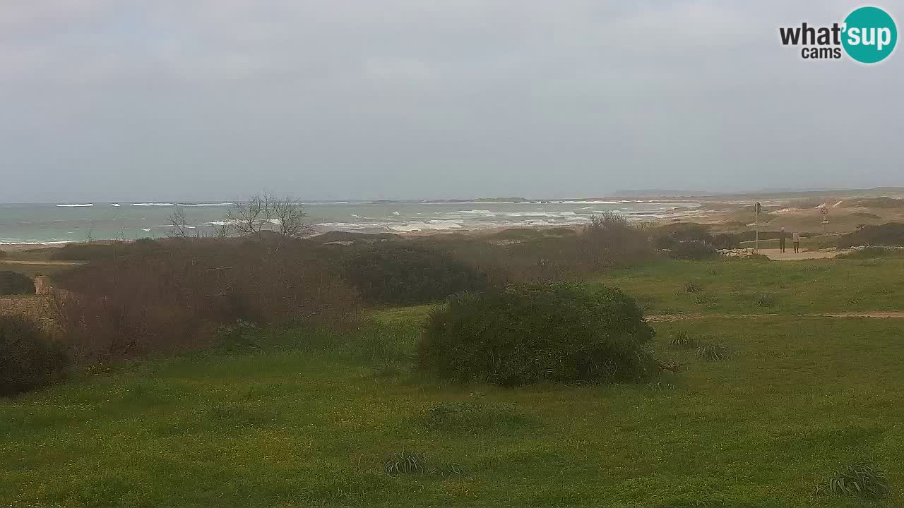 Mari Ermi Strand | Is Arutas – Oristano