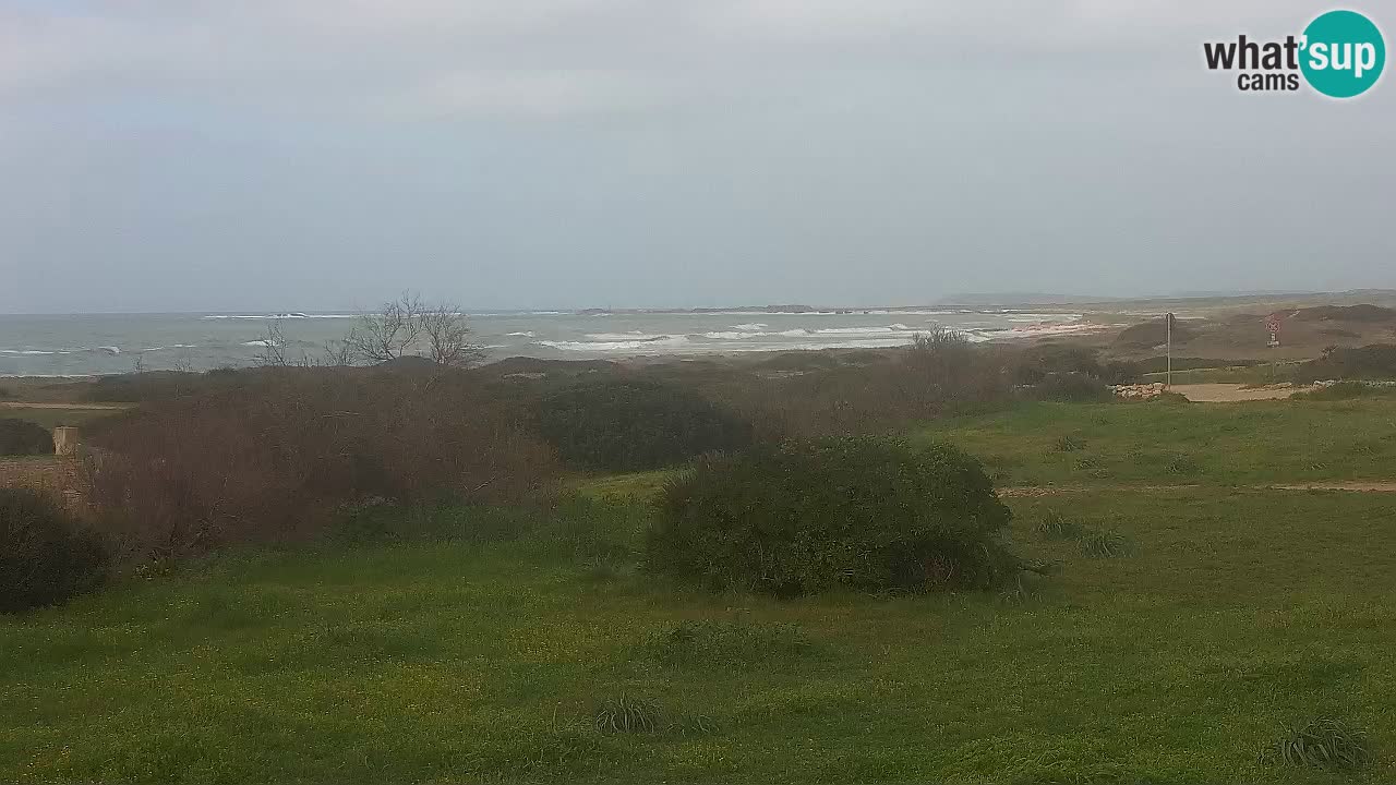 Plaža Mari Ermi | Is Arutas – Oristano