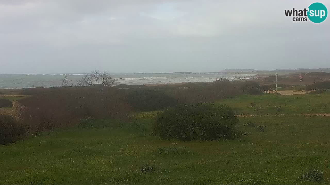 Plage Mari Ermi | Is Arutas – Oristano