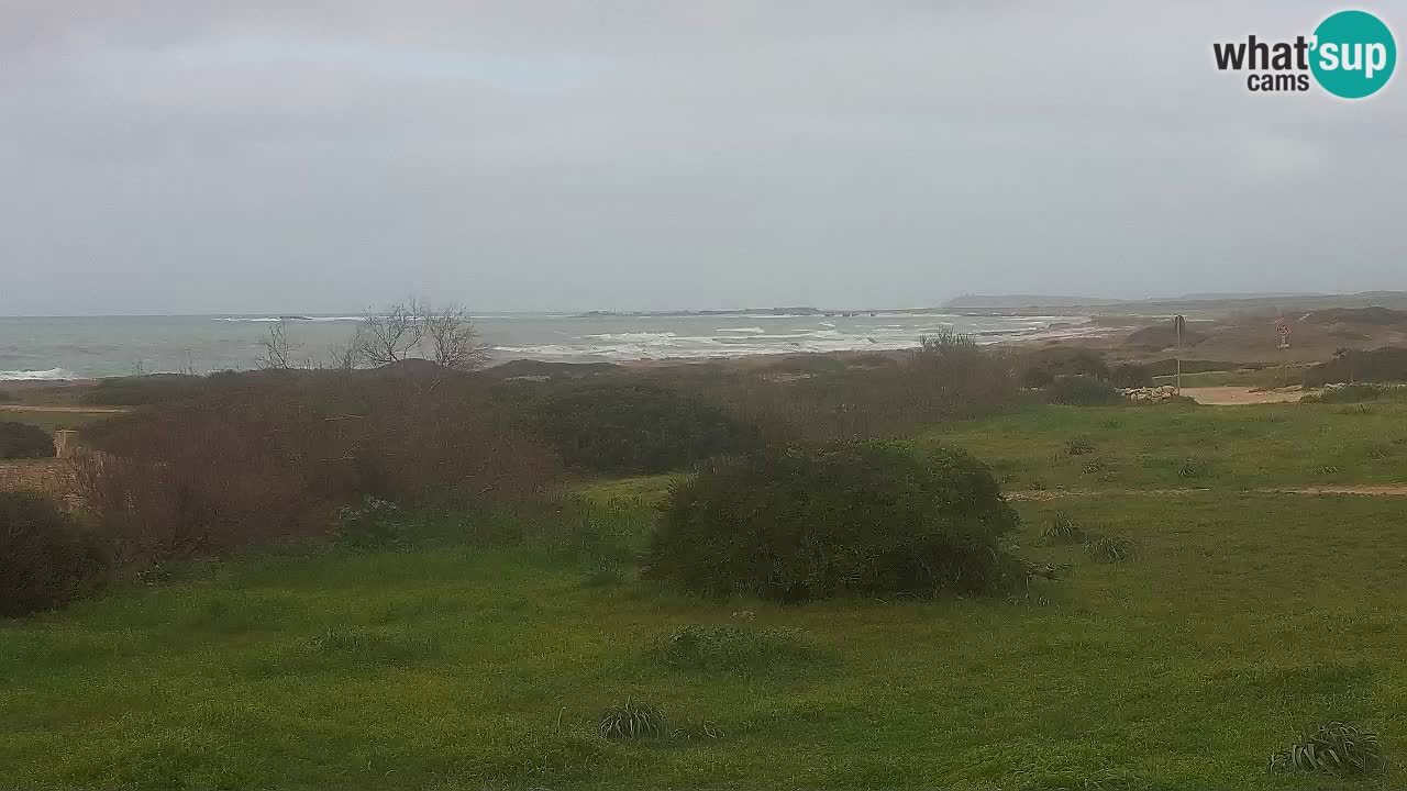 Plaža Mari Ermi | Is Arutas – Oristano