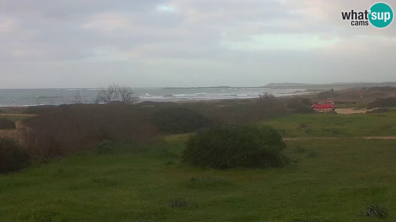 Mari Ermi Strand | Is Arutas – Oristano