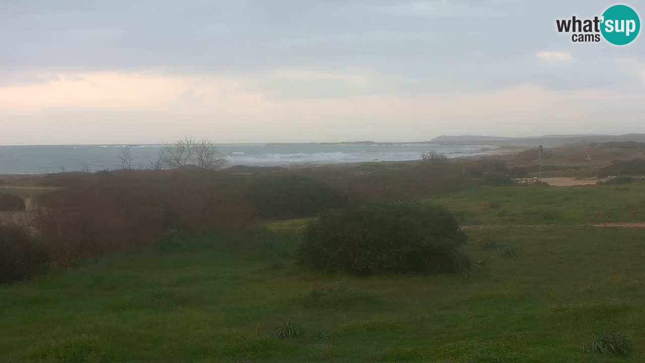 Plaža Mari Ermi | Is Arutas – Oristano