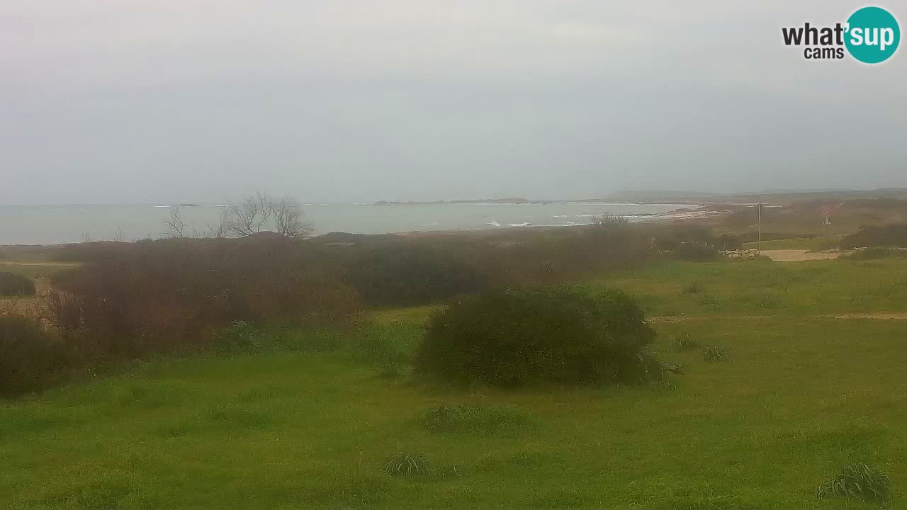 Playa Mari Ermi | Is Arutas – Oristano