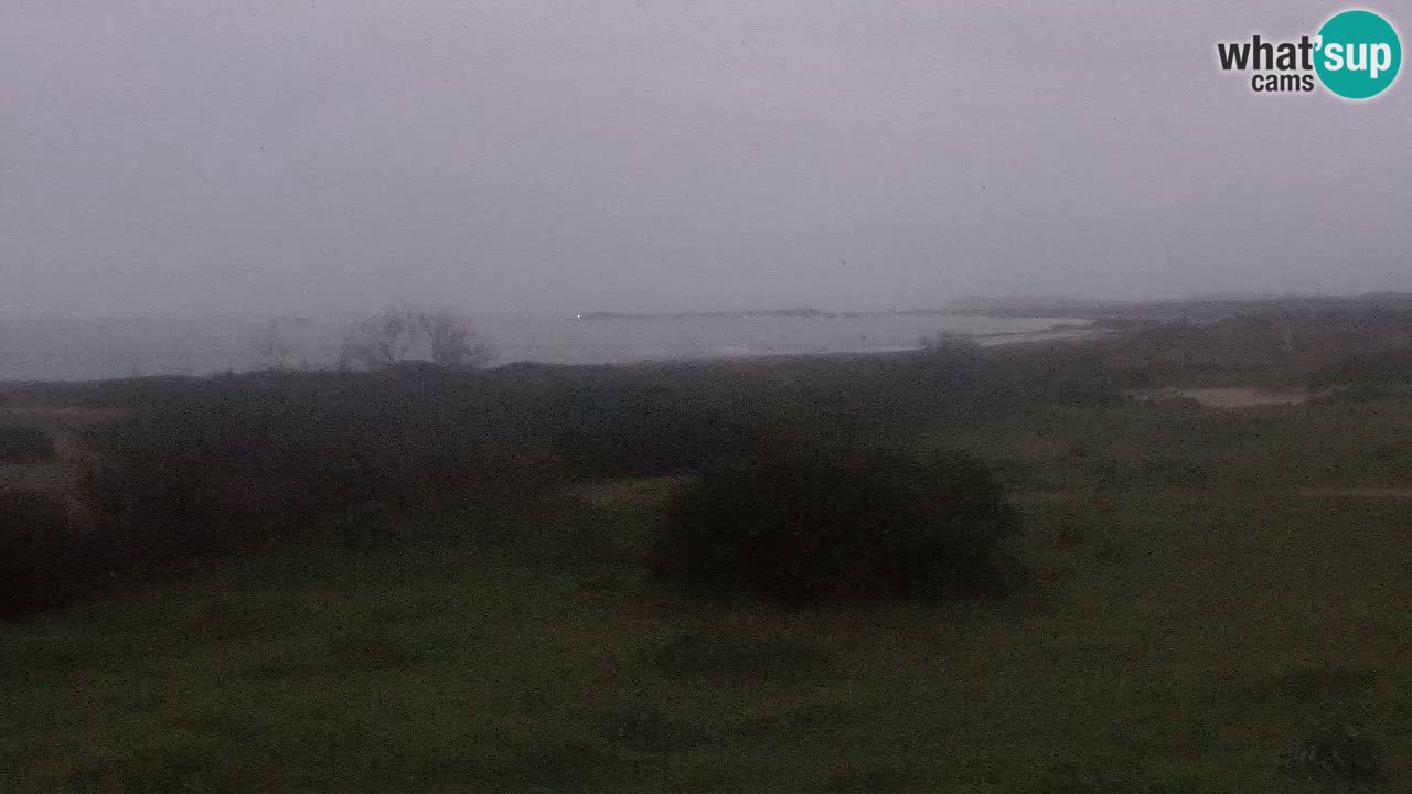 Plaža Mari Ermi | Is Arutas – Oristano