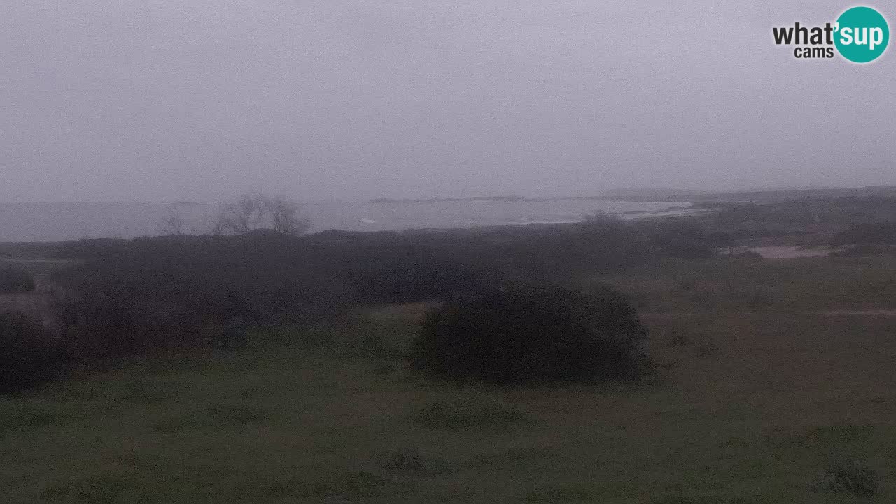 Mari Ermi Strand | Is Arutas – Oristano